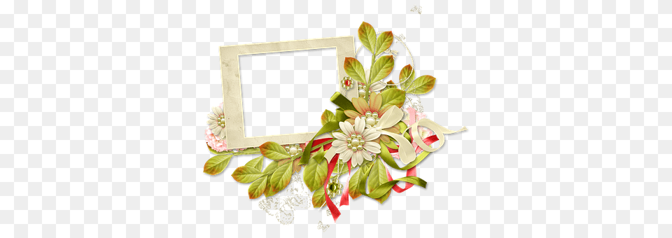 Frame Plant, Pattern, Graphics, Flower Bouquet Png Image