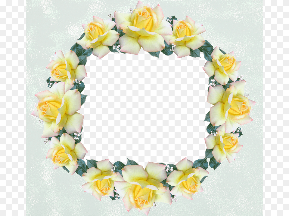 Frame Flower, Plant, Rose, Flower Arrangement Png
