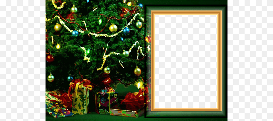 Frame 93 Christmas Tree Region 1 Import Dvd, Plant, Christmas Decorations, Festival Free Transparent Png