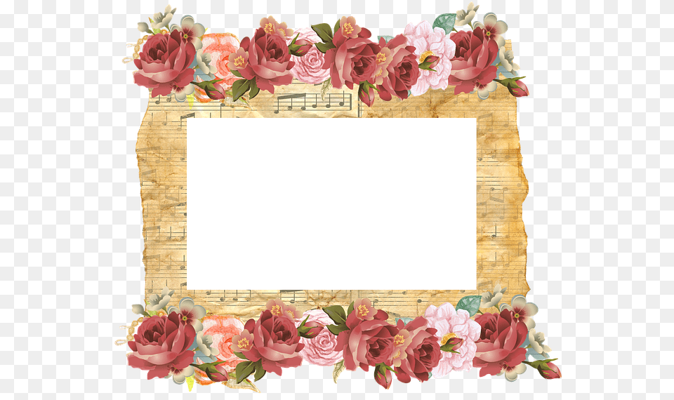 Frame Background Old Parchment Musical Notes, Rose, Plant, Flower, Pattern Png