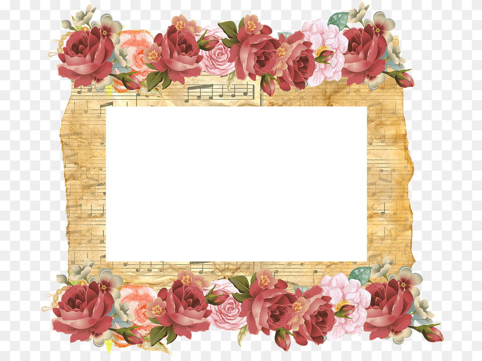 Frame Background Old Parchment Musical Notes Birthday Wishes To Wonderful Person, Rose, Plant, Flower, Pattern Png