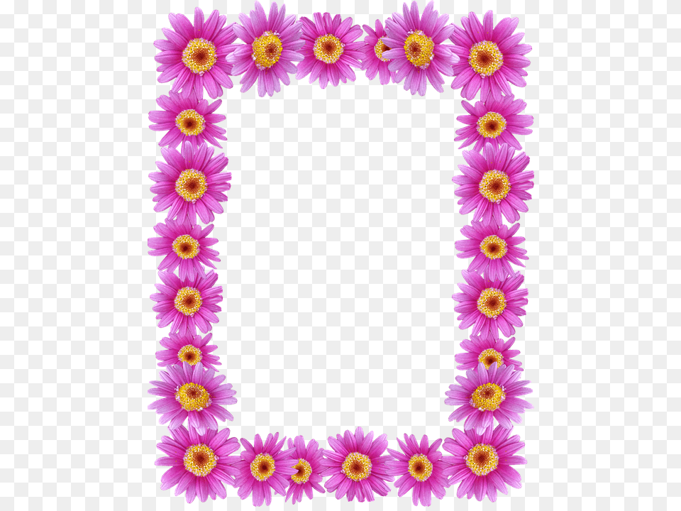 Frame Border Daisies Floral Decorative Marcos De Fotos De Flores, Daisy, Flower, Plant, Dahlia Free Png Download