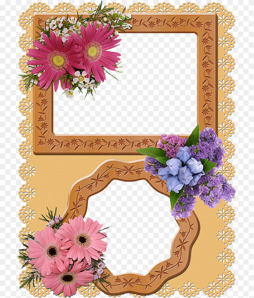 Frame Border Design Double, Plant, Flower Arrangement, Flower, Daisy Free Transparent Png