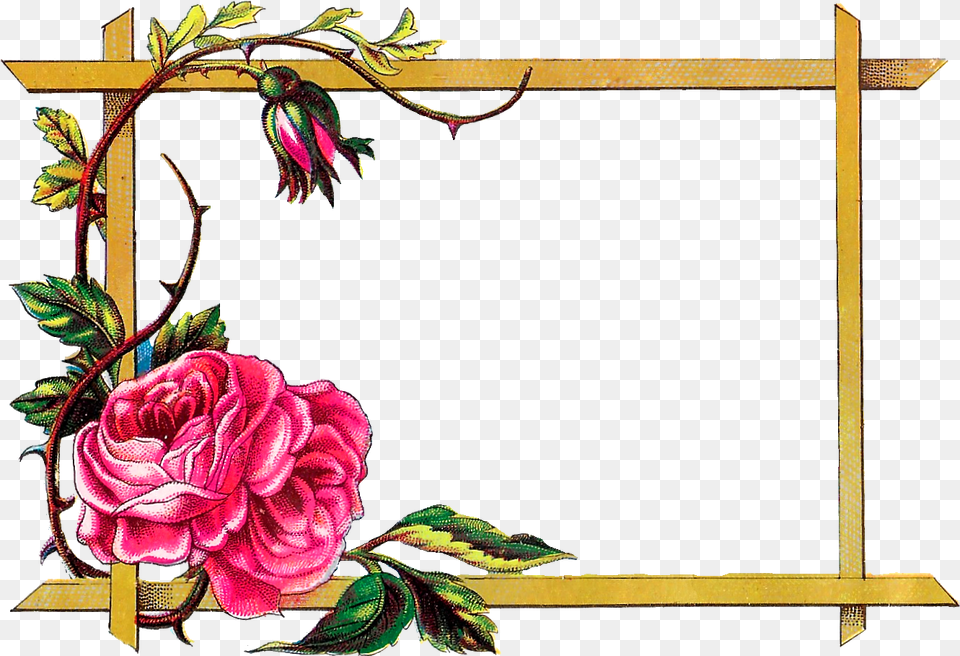 Frame Border Design Flower, Plant, Rose, Art Png