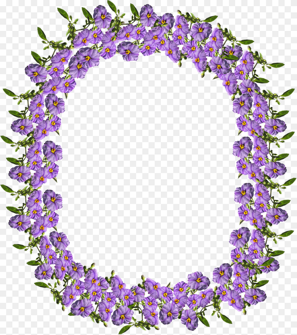 Frame Border Purple Photo Gambar Tepi Bingkai Bunga Ungu, Flower, Flower Arrangement, Plant, Pattern Free Png