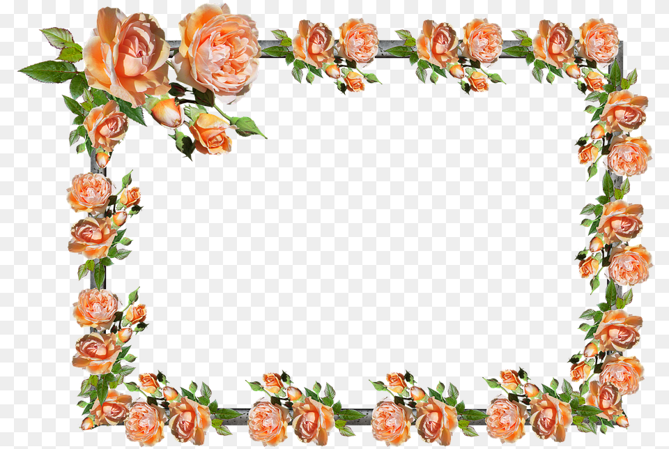 Frame Border Rose Floral Decoration Floribunda, Flower, Flower Arrangement, Plant, Art Free Png Download