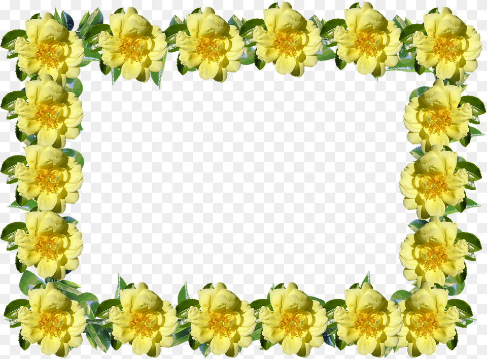 Frame Border Rose Picture Yellow Flower Frame, Accessories, Flower Arrangement, Ornament, Plant Png