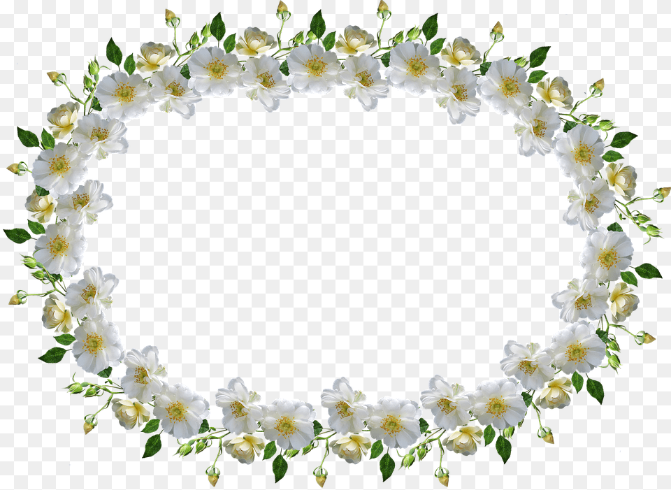 Frame Border White Rose Floral Bingkai Bunga Mawar Putih, Flower, Flower Arrangement, Plant, Accessories Free Transparent Png