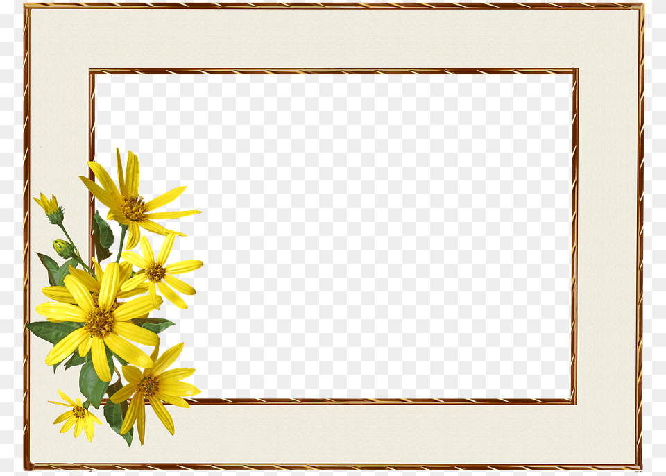 Frame Border Yellow Flower Border, Daisy, Plant, Sunflower, Flower Arrangement Png Image