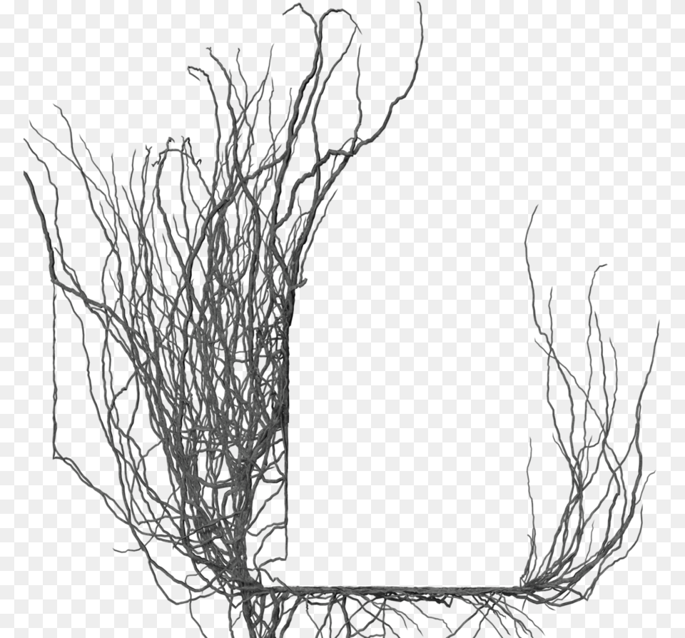 Frame By Brokenwing Dstock Gothic White Frame, Art, Plant, Drawing, Root Free Png