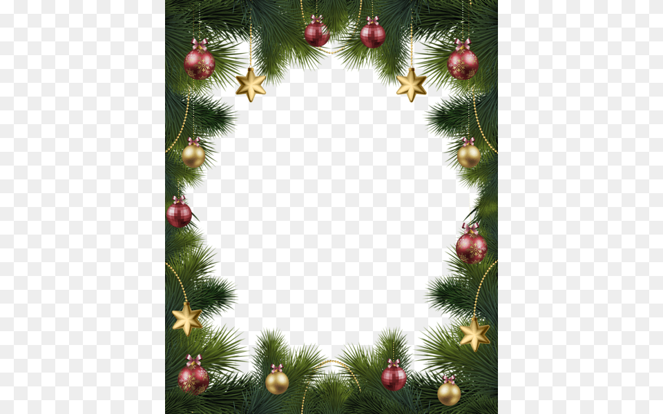 Frame Christmas Ornaments, Plant, Tree, Christmas Decorations, Festival Free Png Download