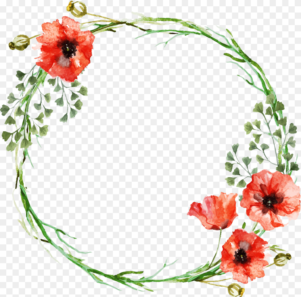 Frame Circle Circleframe Flowerframe Flowersframe Flower Circle Frame Design, Plant, Rose, Poppy Free Transparent Png