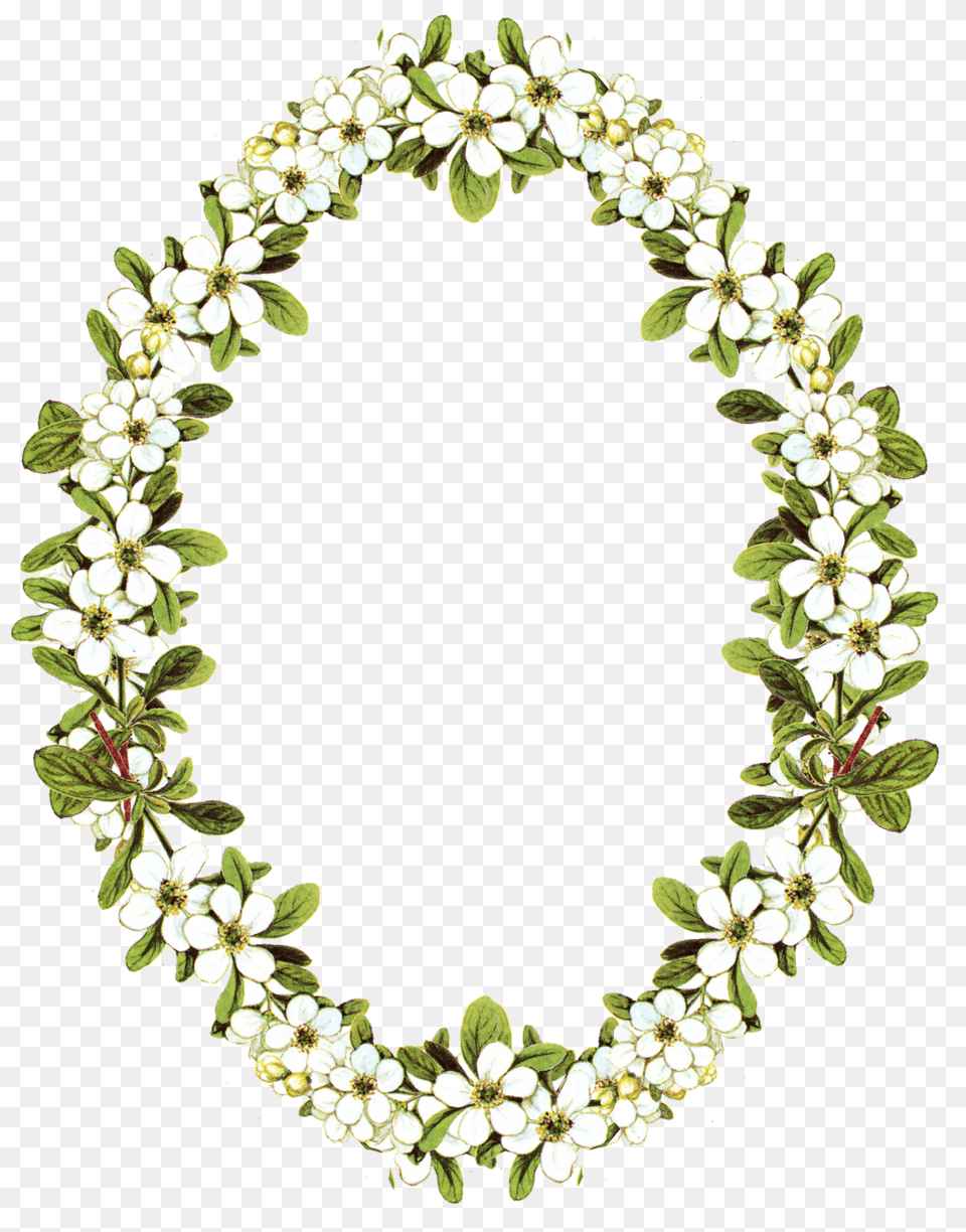 Frame Circle Frame, Flower, Flower Arrangement, Plant, Accessories Free Transparent Png