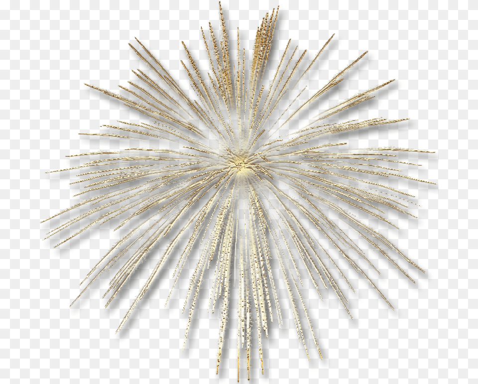 Frame Clipart Golden Background Firework, Fireworks, Plant Free Png Download