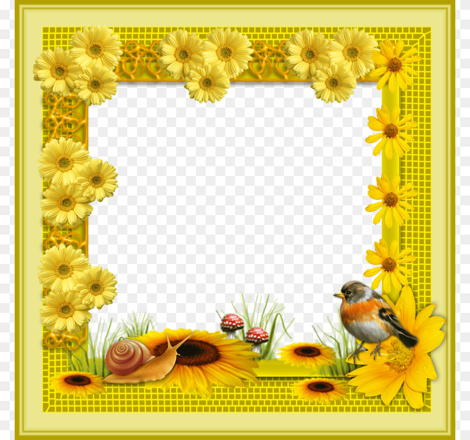 Frame Clipart Picture Frames Flowers Frame In, Art, Collage, Daisy, Plant Free Png Download