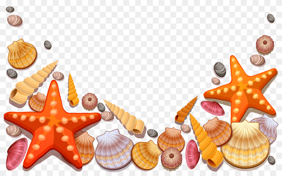 Frame Clipart Seashell, Animal, Sea Life, Invertebrate, Ball Png Image