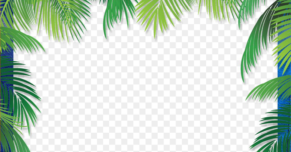 Frame Coconut Tree, Green, Rainforest, Plant, Palm Tree Free Png
