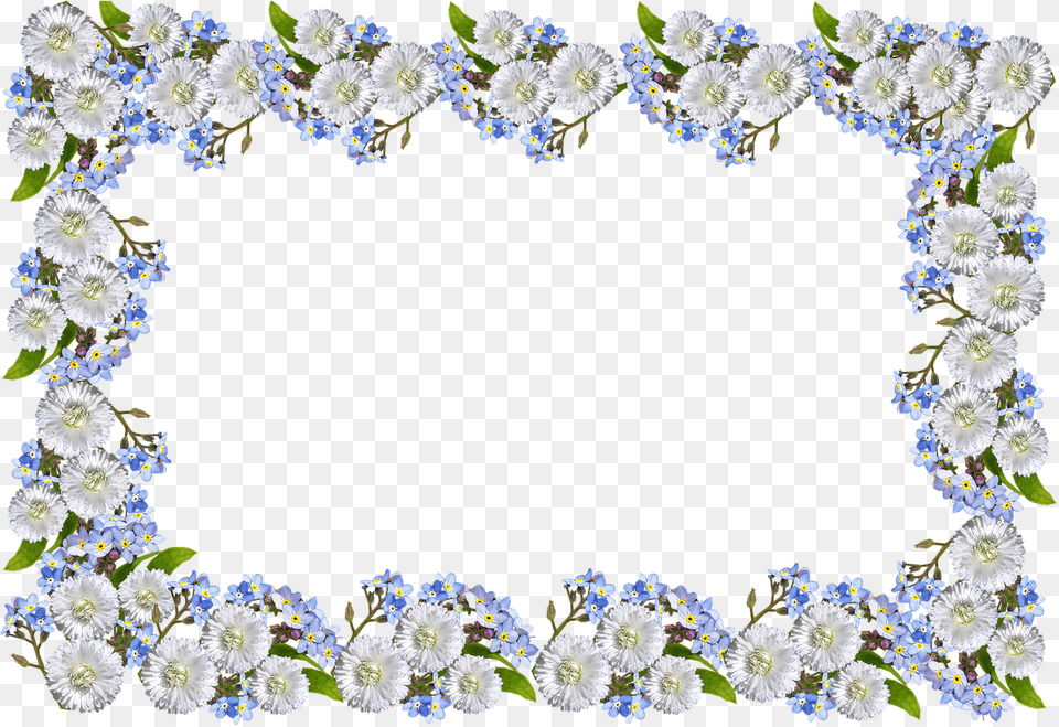 Frame Daisies Forget Me Not Photo Forget Me Not Border, Accessories, Plant, Flower, Pattern Png