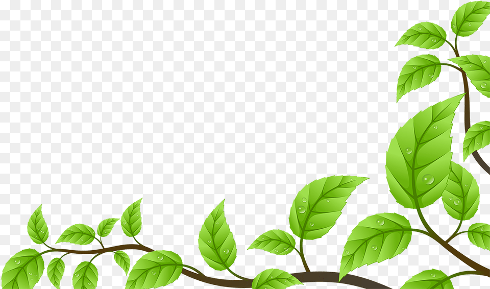 Frame Daun, Green, Leaf, Plant, Annonaceae Free Transparent Png