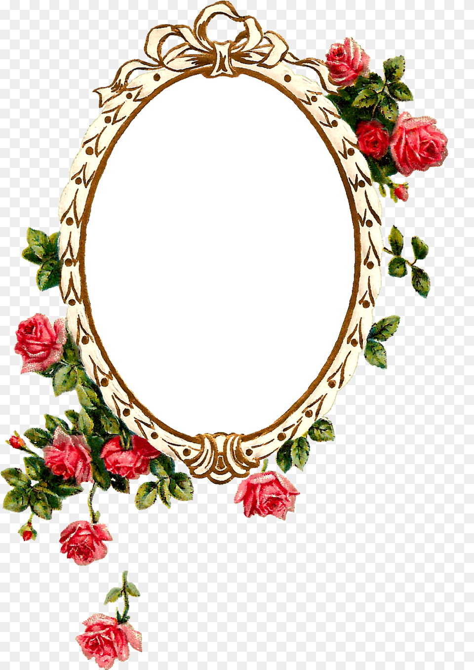 Frame Design, Flower, Plant, Rose, Oval Png Image