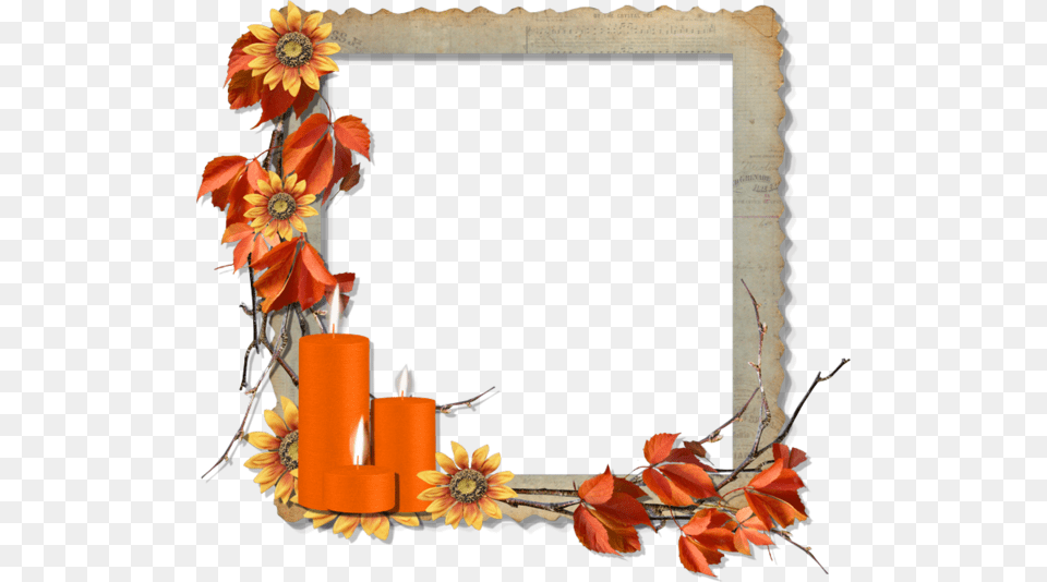 Frame Digital Digital, Flower, Flower Arrangement, Plant, Candle Free Transparent Png