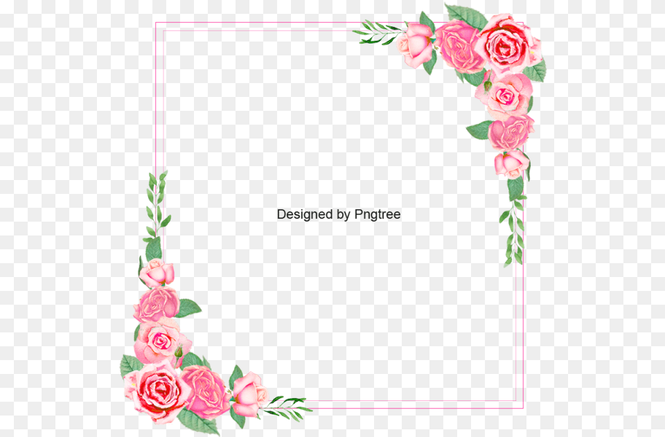 Frame Flower Border, Plant, Rose, Art, Floral Design Free Png Download