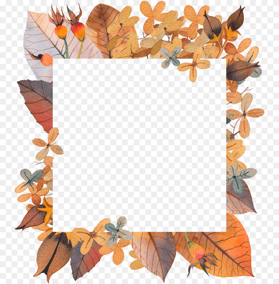 Frame Frames Autumn Fall Border, Art, Collage, Leaf, Plant Free Png Download