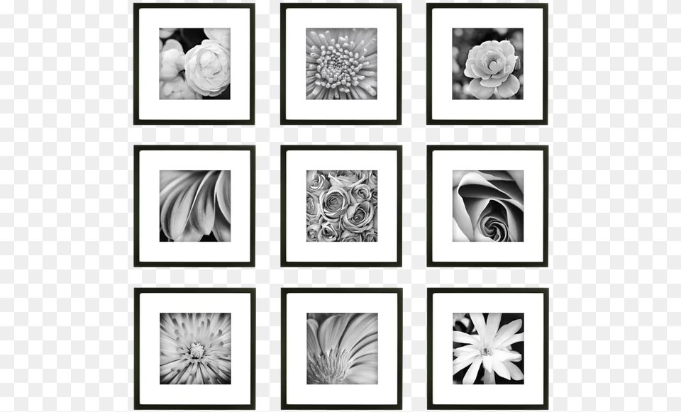 Frame Gallery Wall, Art, Collage, Flower, Plant Png Image