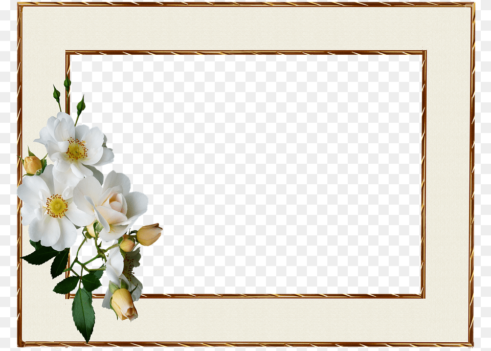 Frame Gold Edge White Rose White Roses Gold Frame, Anemone, Flower, Flower Arrangement, Flower Bouquet Png