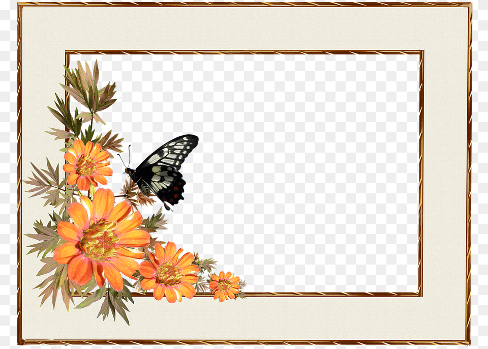 Frame Golden Frame Border, Plant, Flower Arrangement, Flower, Dahlia Free Png