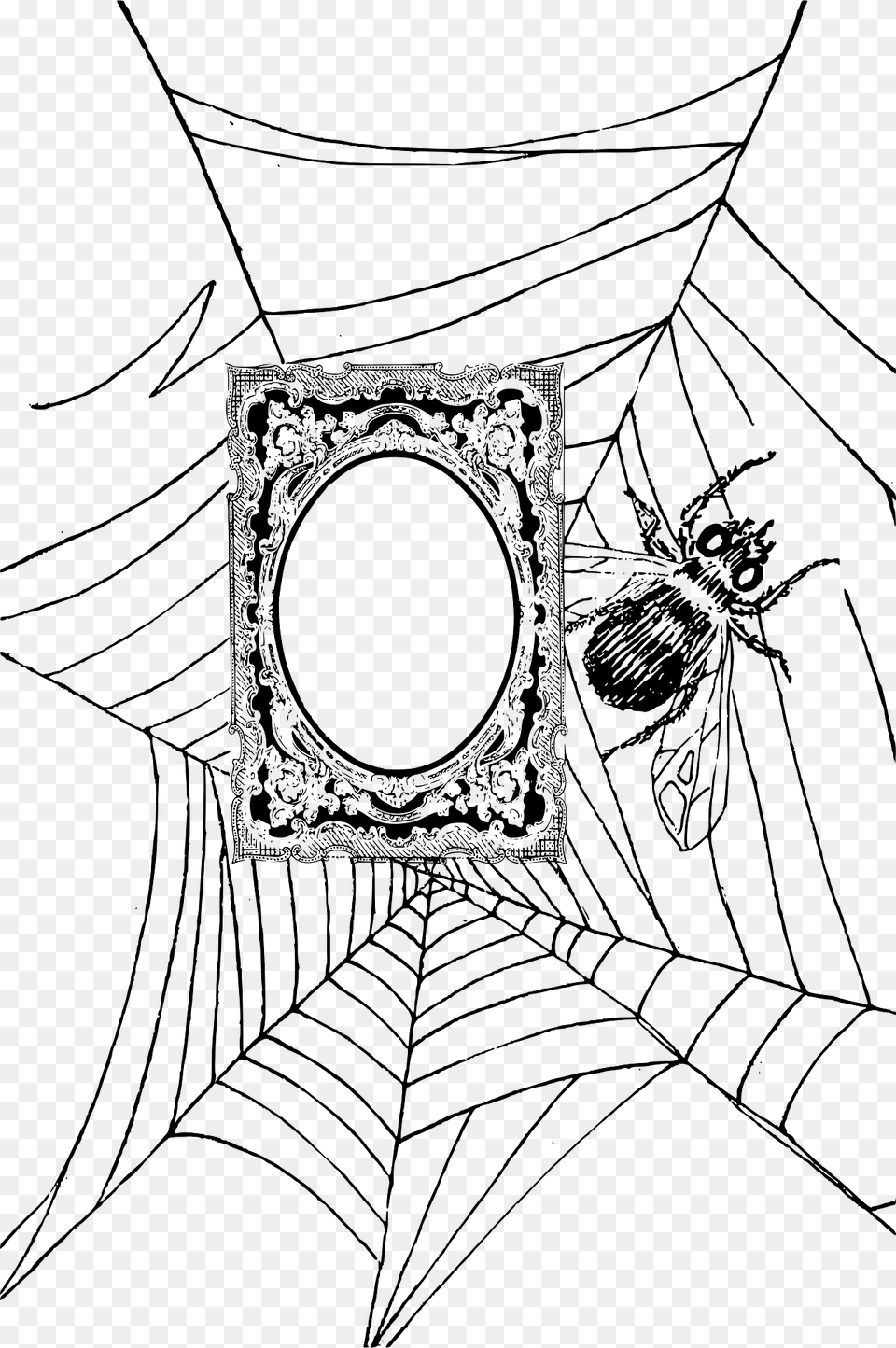 Frame In Spider Web, Person Free Png Download