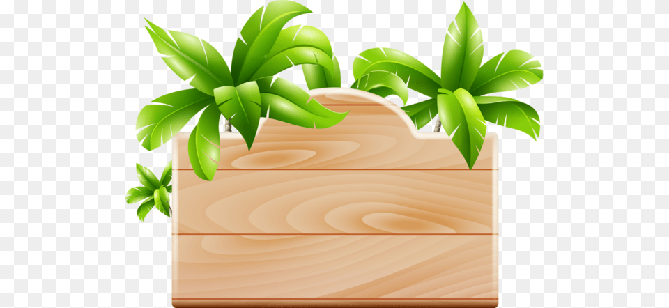 Frame Moana Green, Vase, Pottery, Potted Plant Png Image
