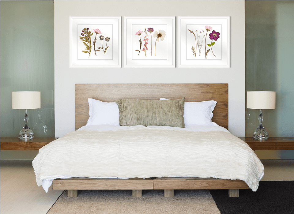 Frame Options Multiple Canvas Calla Lily Painting, Indoors, Cushion, Interior Design, Home Decor Png