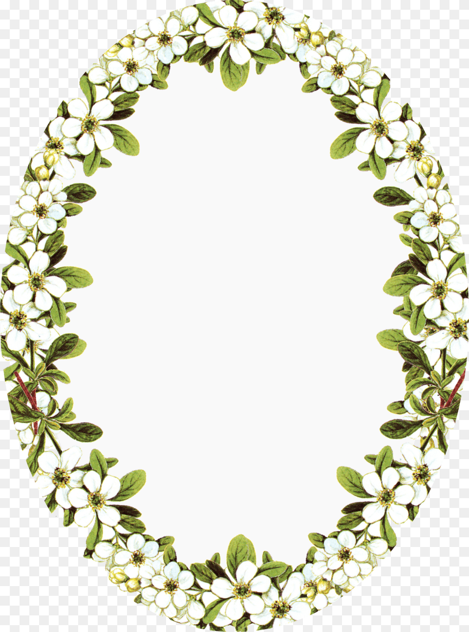 Frame Oval With Flowers, Photography, Plant, Accessories, Flower Free Png Download