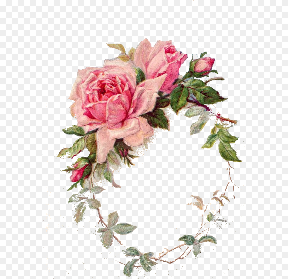 Frame Pink Vintage Rose, Plant, Flower, Pattern, Graphics Free Png Download