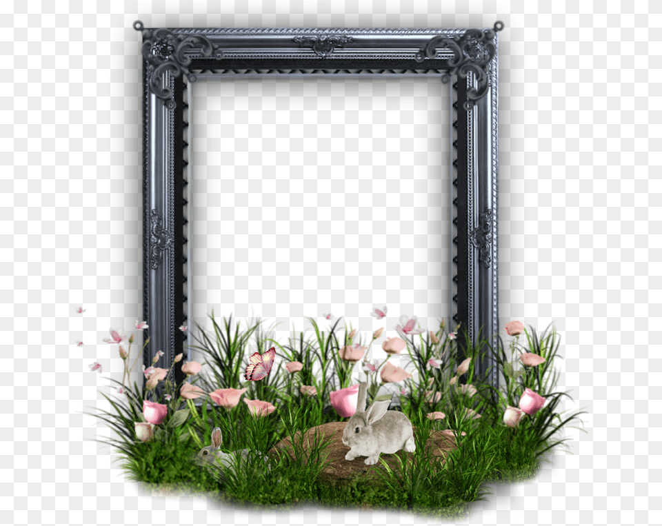 Frame Rabbit Picture Picture Bouquet, Flower, Plant, Rose, Flower Arrangement Png Image