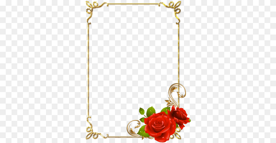 Frame Resolution Rose Frame, Flower, Plant Free Png