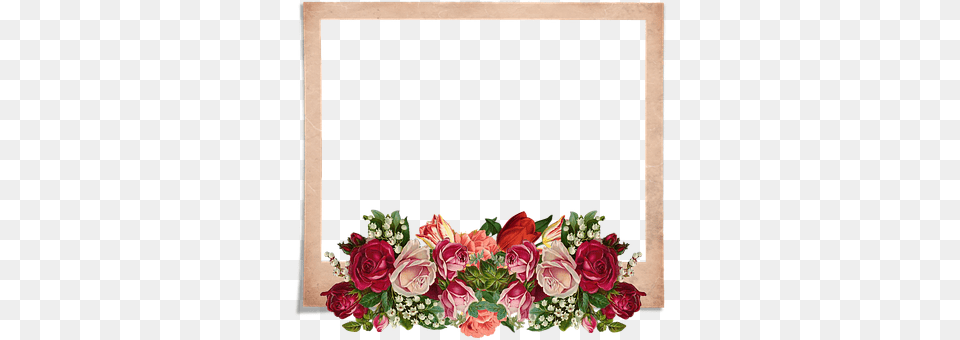 Frame Rose Art, Floral Design, Flower, Flower Arrangement Png Image