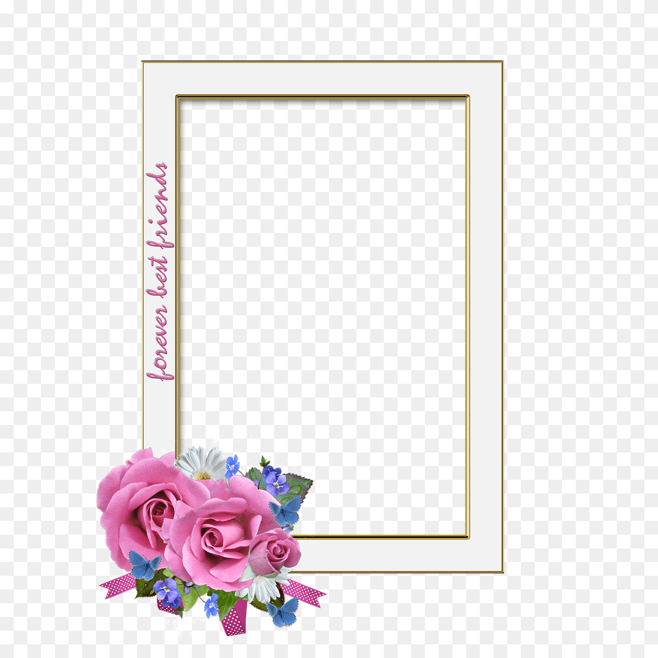 Frame Roses Best Friends On Pixabay Pink And Blue Rose, Flower, Flower Arrangement, Flower Bouquet, Plant Free Png Download