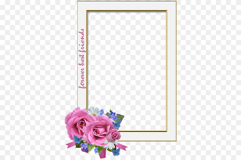 Frame Roses Best Friends Isolated Cut Out Best Friends Forever Frame, Rose, Plant, Flower Bouquet, Flower Arrangement Free Png