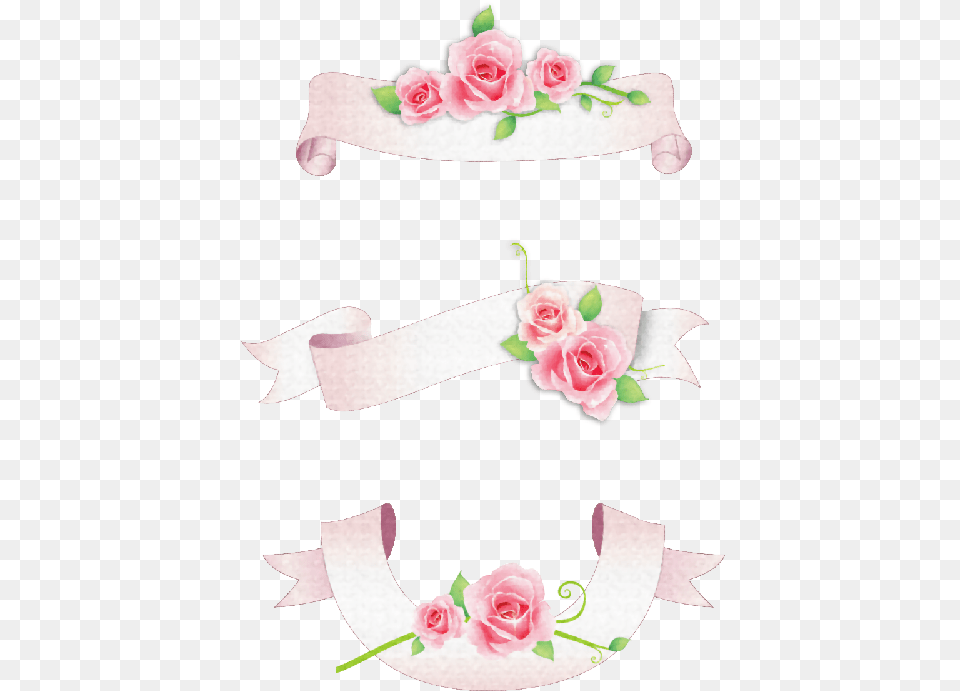 Frame Wedding, Flower, Plant, Rose Free Png