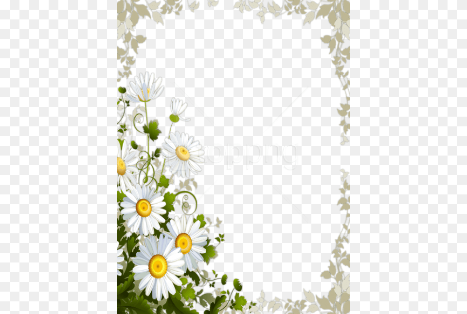 Frame With Daisies Images Daisy Flower Frame, Plant, Anemone, Herbal, Herbs Free Png Download