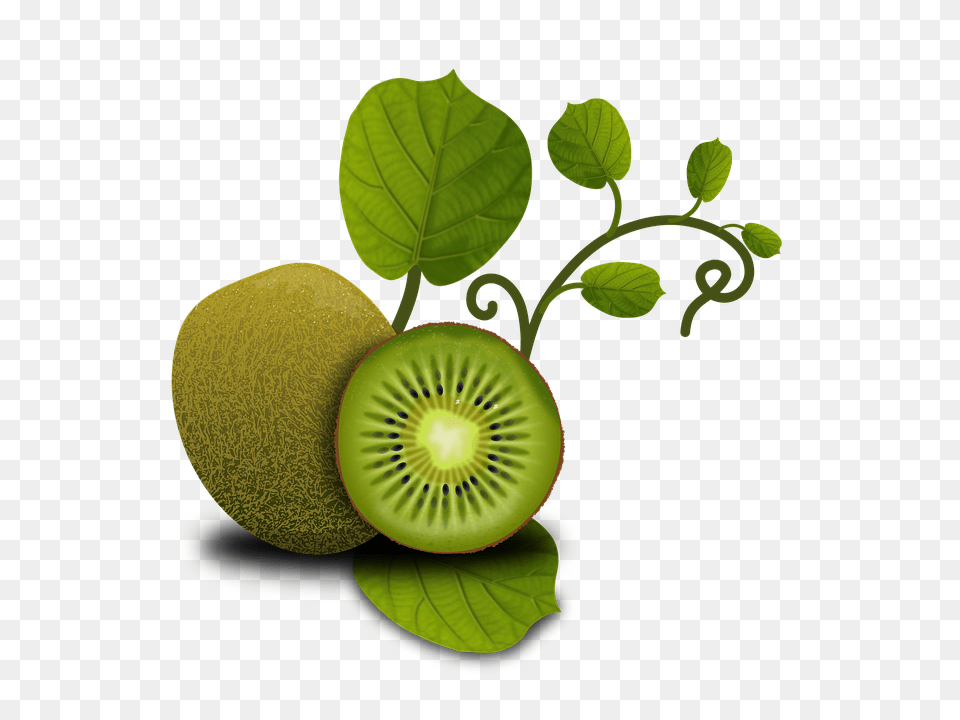 Framed Art For Your Wall Kiwi Fruit Fruits Vegetables Plants, Food, Plant, Produce, Pear Free Png