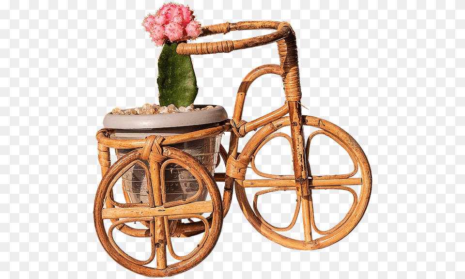 Framed Art For Your Wall Trim Cactus Bamboo Bike Graft Bicicleta De Jardim, Potted Plant, Plant, Flower, Flower Arrangement Free Png Download