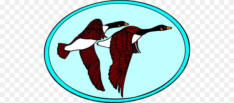 Framed Flying Geese Clip Art For Web, Animal, Bird, Cormorant, Waterfowl Png