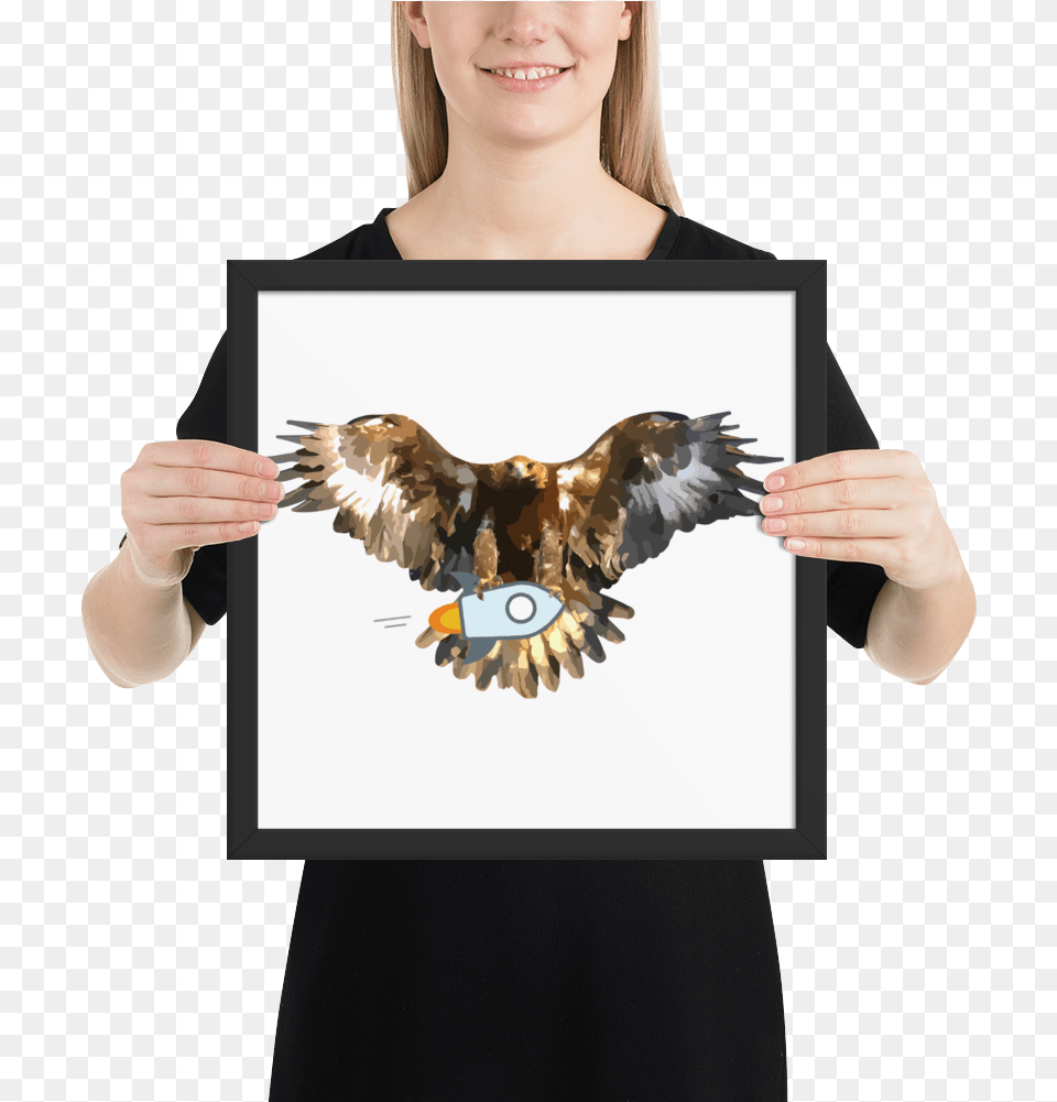 Framed Stellar Bald Eagle Poster Poster, Adult, Person, Woman, Female Free Png Download