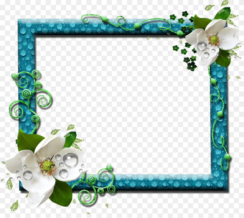Frames Design, Anemone, Flower, Plant, Art Png Image