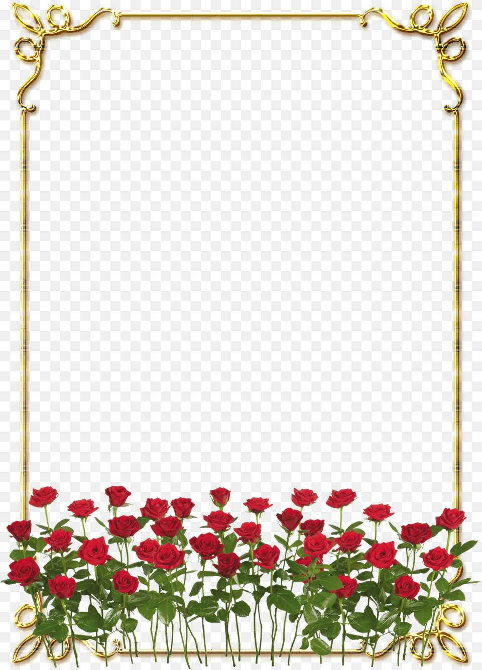 Frames Douradas Com Rosa Vermelhas Rose Border Flower Design, Plant, Art, Floral Design, Graphics Png Image