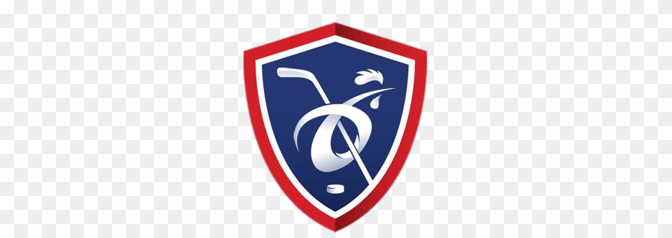 France National Ice Hockey Team Logo, Armor, Shield Free Transparent Png