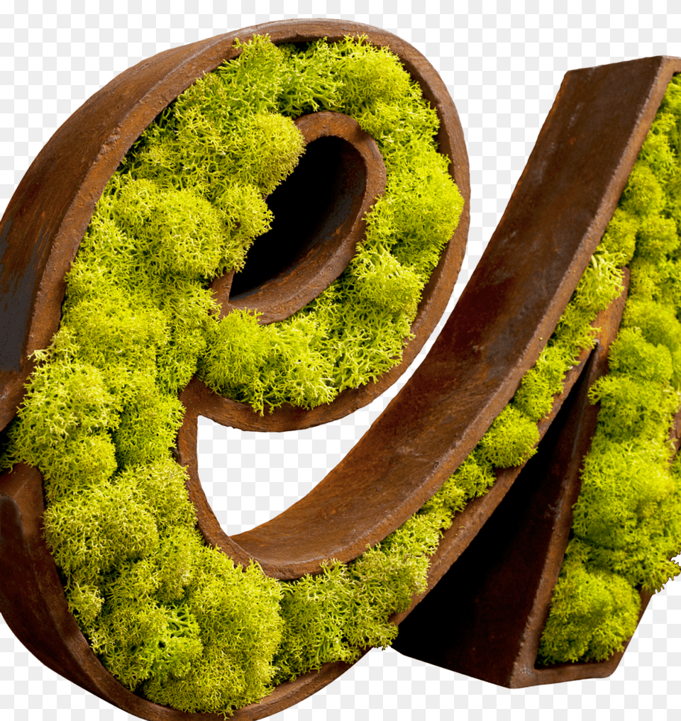 Francesco Meaolo 125 Modifica 2 Moss Logo, Plant, Text, Symbol, Number Png Image